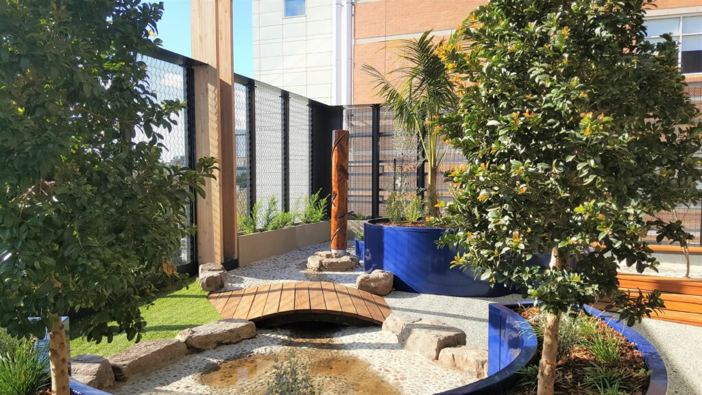 Rooftop wet play area surrounded by rainforest plants performing well in raised planters